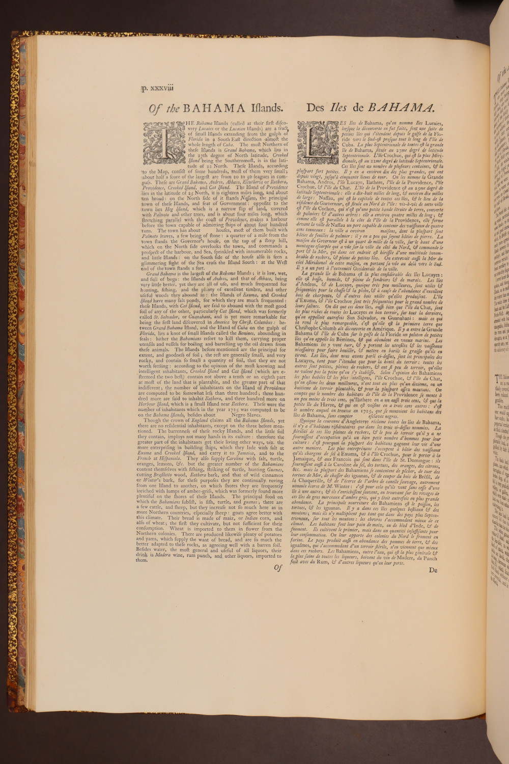 Page xxxviii